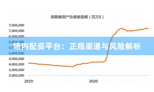 场内配资平台：正规渠道与风险解析